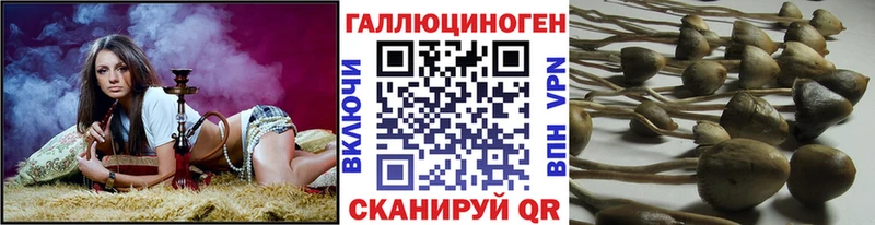 наркота  МЕГА как войти  Псилоцибиновые грибы ЛСД  Полевской 