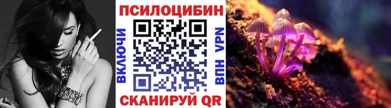 Галлюциногенные грибы Psilocybine cubensis Полевской