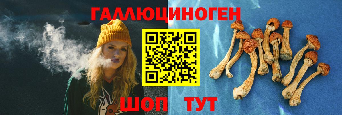 Псилоцибиновые грибы мицелий Полевской